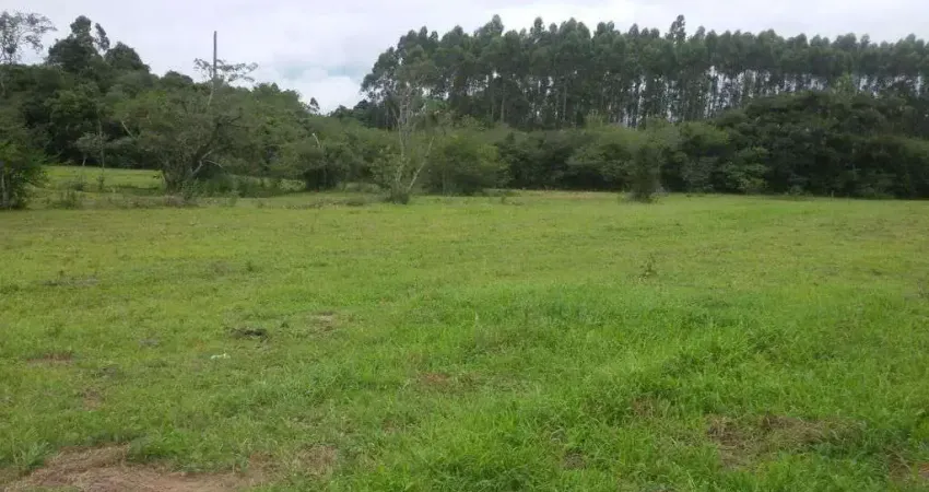 Sitio 8,0 Hectares em Triunfo -  RS