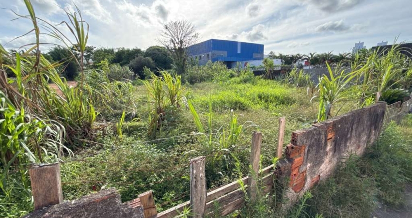Terreno à venda em Rio Caveiras, Biguaçu 