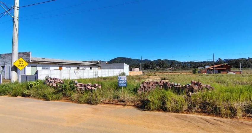 Terreno à venda no Areias de Baixo, Governador Celso Ramos 