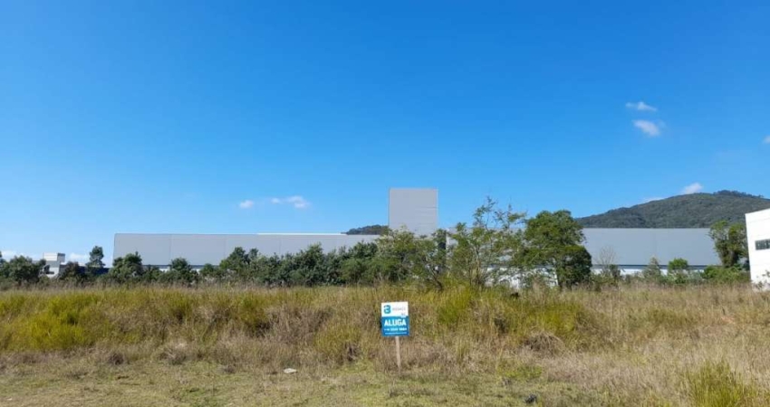 Terreno comercial para alugar no Beira Rio, Biguaçu 