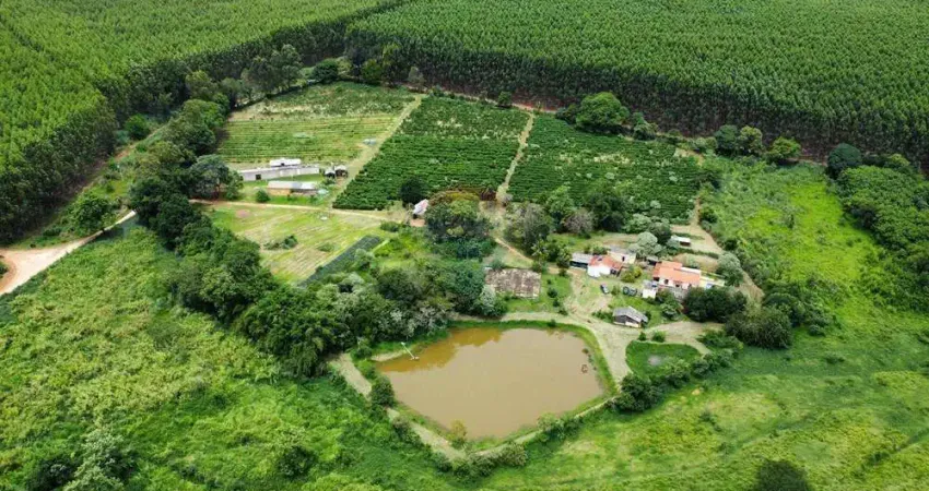 SITIO DE 4,7 HECTARES PARA VENDA  COM CERTIFICADO ORGANICO PARA PRODUÇÃO  DE CAFE EM SERRA NEGRA S.P.