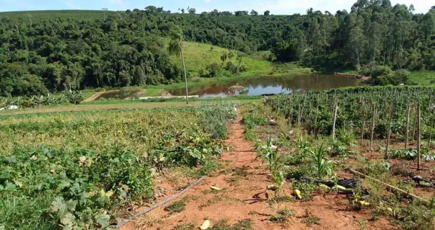 imóvel rural  à venda de 88.000 m2 , com  área construída de 290 ac em Campestre - Minas Gerais