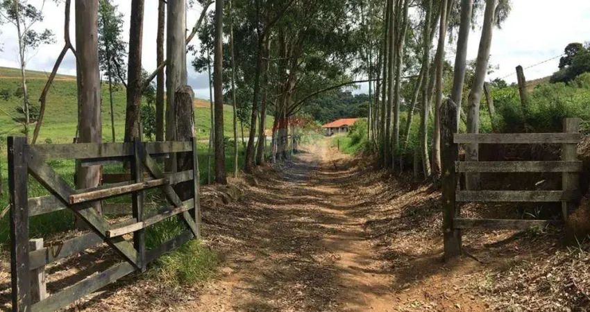 'Fazenda Deslumbrante em Socorro: Investimento Único'