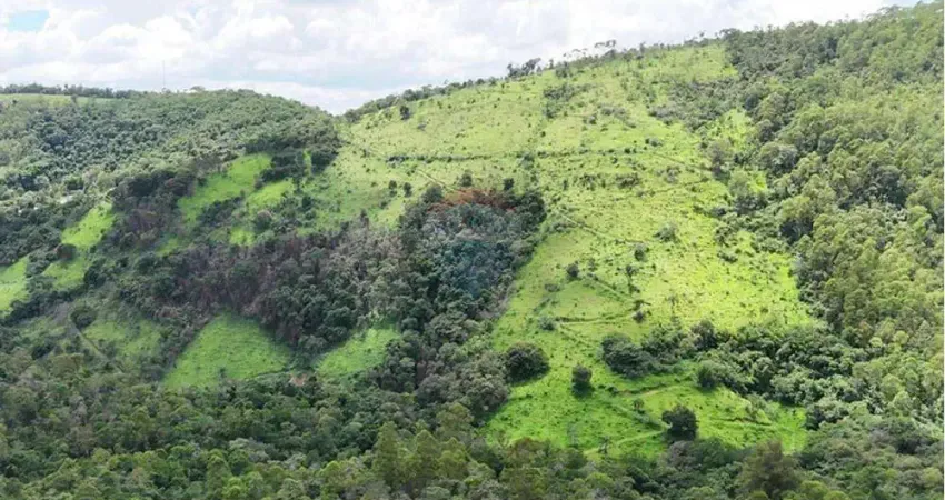 Chácara / sítio à venda na Ponte Preta, Monte Alegre do Sul