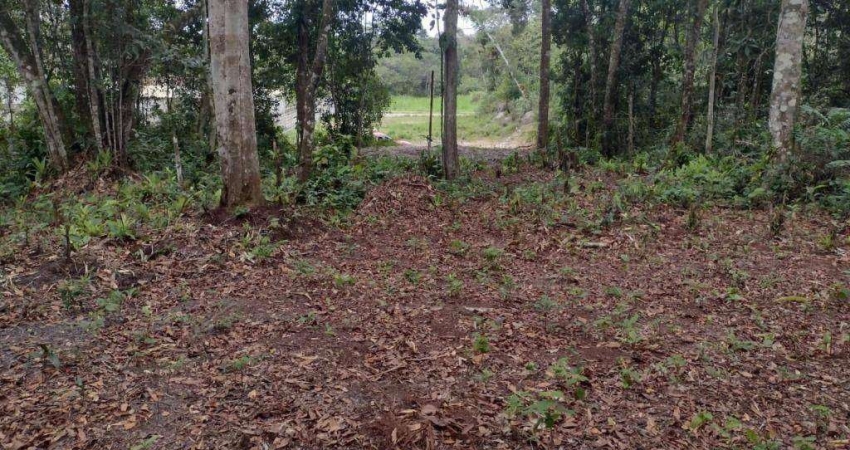 Terreno à venda no Jardim Coronel, Itanhaém 