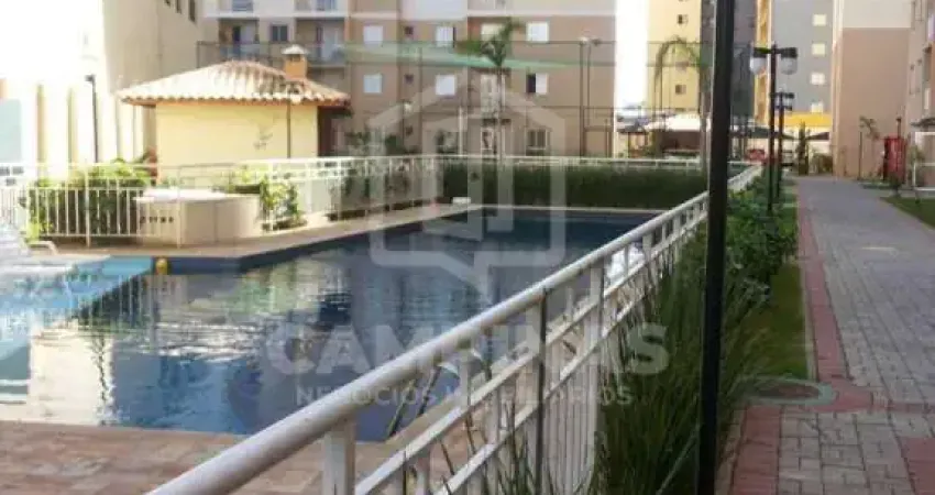 Apartamento com 2 quartos para alugar no Bonfim, Campinas 