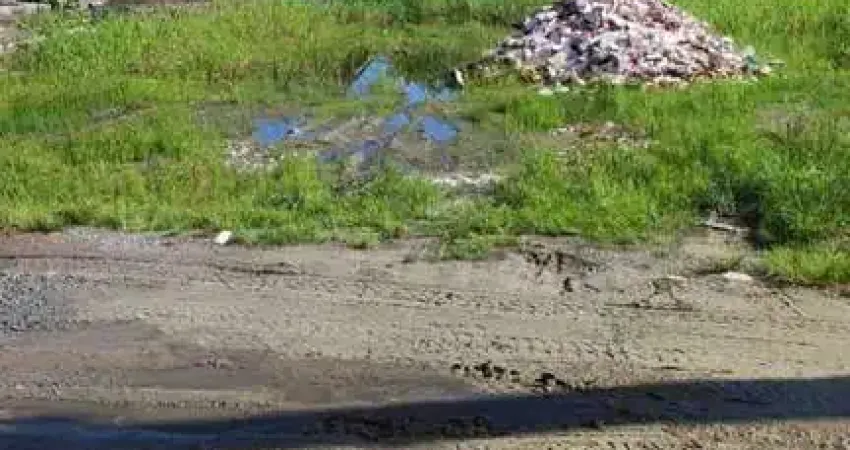 Terreno em Praia para Venda em Pontal do Paraná, Balneário Canoas