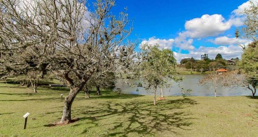 Terreno para Venda - 0m², 0 dormitórios, Vila Morada Gaúcha