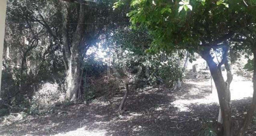 Terreno à venda na Avenida Senador Salgado Filho, Cecília, Viamão