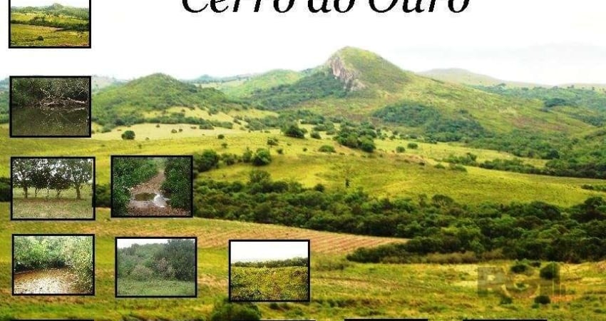 Fazenda à venda na Coronel Soares, 589, Centro, São Gabriel