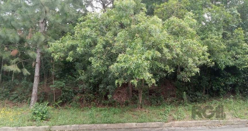 Prédio à venda na Rua Cambará, Viamópolis, Viamão