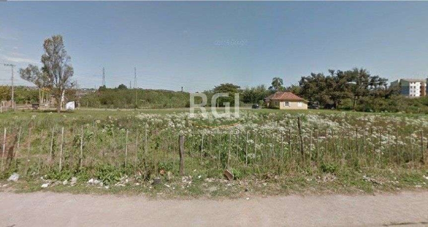 Area para Venda - 24000m², 0 dormitórios, Maria Regina