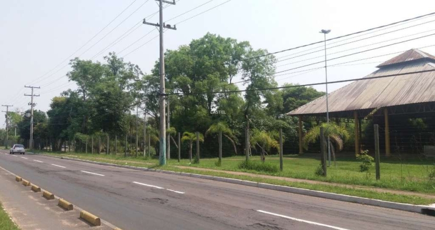 Terreno à venda na Avenida Imperatriz Leopoldina, São José, São Leopoldo