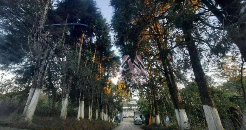 Terreno à venda, 7000 m² por R$ 250.000,00 - Taquacetuba - São Bernardo do Campo/SP