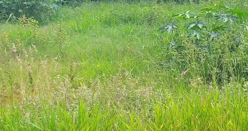 Terreno à venda, 750 m² - Estância Balneária Águas Virtuosas - Bauru/SP