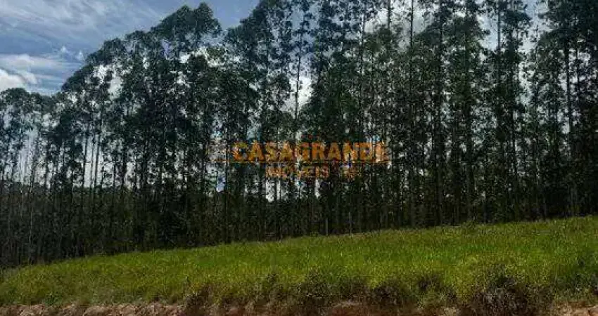 Terreno à venda na Vila Amélia em Bairro Planejado- Zona Sul - 205m²
