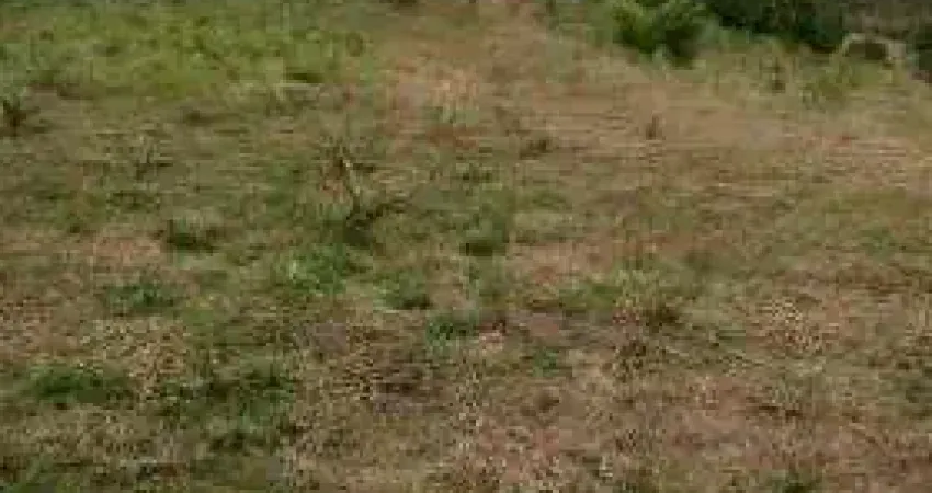Área à venda, 27000 m² por R$ 3.000.000,00 - Quarta Divisão - Ribeirão Pires/SP