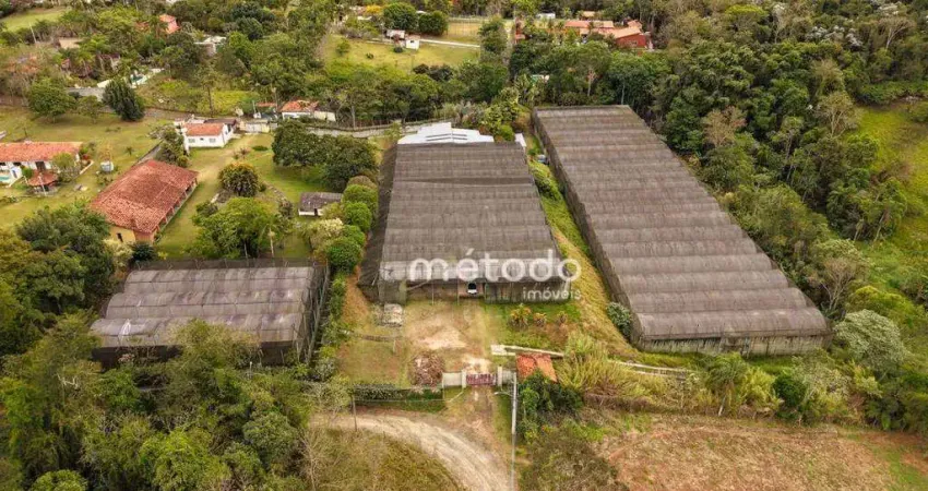 Sítio com 6 dormitórios à venda, 20000 m² por r$ 3.900.000,00 - lambari - guararema/sp