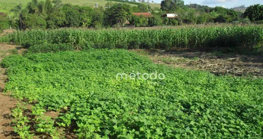 Sítio com 3 dormitórios à venda, 20000 m² por r$ 650.000 - capoeirinha - guararema/sp