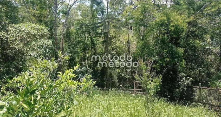 Terreno à venda, 1000 m² por R$ 230.000,00 - Recanto da Cachoeira - Santa Branca/SP