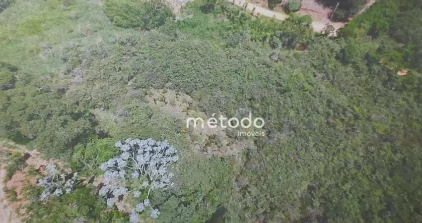Sítio à venda, 20000 m² por R$ 210.000,00 - Lagoa Nova - Guararema/SP