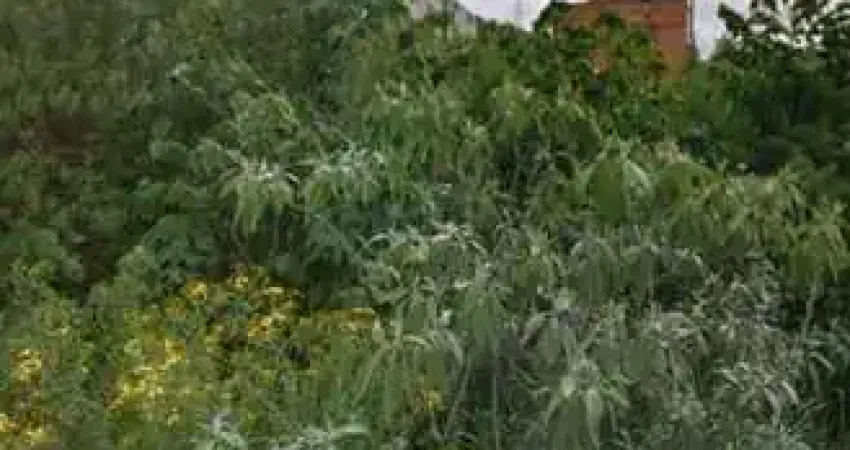 Terreno à venda no São Luiz, Caxias do Sul 