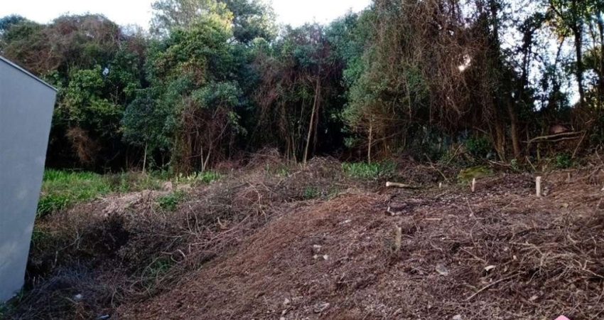 Terreno à venda na Nossa Senhora de Lourdes, Caxias do Sul 
