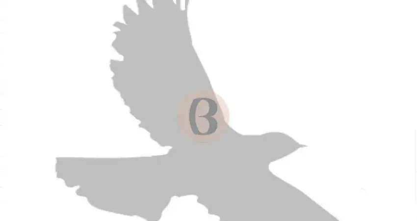 Terreno à venda no Presidente Altino, Osasco