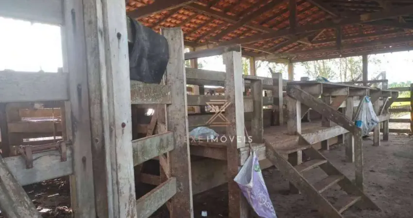 Fazenda à venda, 24500000 m² por R$ 24.500.000 - Centro - Santa Luzia Do Pará/PA