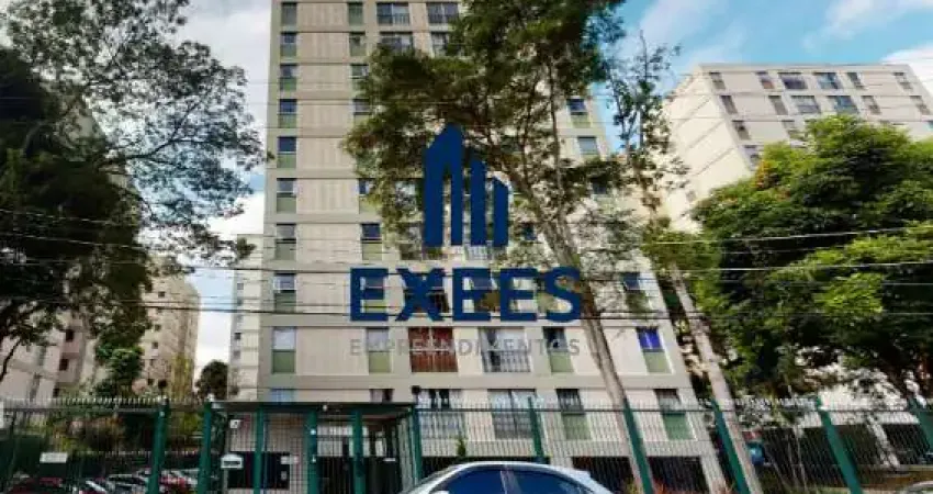 Apartamento com 3 quartos à venda na Rua Luísa Álvares, 87, Vila Campestre, São Paulo