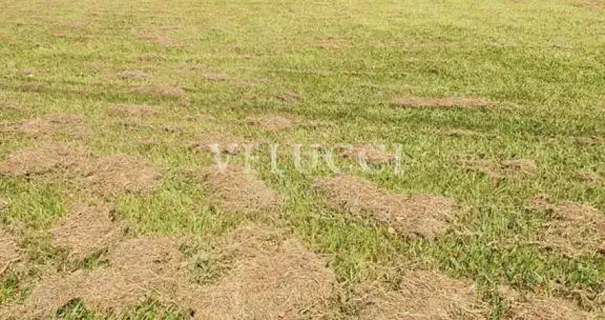 Terreno à venda na Rua Iolanda Tiziani Pazetti, Boa Esperança, Paulínia