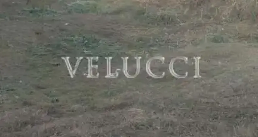 Terreno à venda na Rua São Pedro do Turvo, 232, Parque da Figueira, Campinas