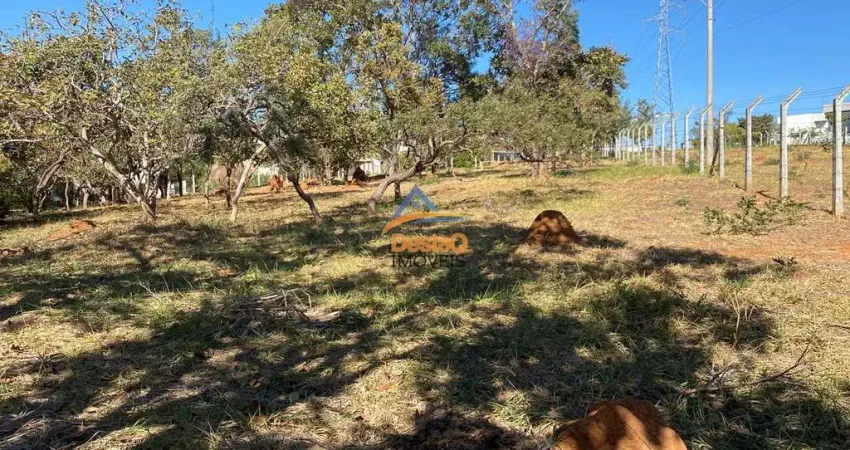 Terreno à venda no Várzea, Lagoa Santa 