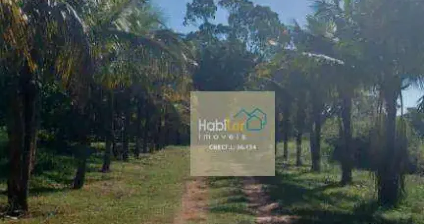 Sítio à venda, 72600 m² por R$ 1.530.000,00 - Zona Rural - Mendonça/SP