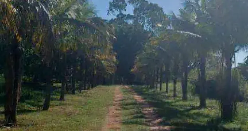 Sítio à venda, 72600 m² por r$ 1.500.000,00 - zona rural - mendonça/sp