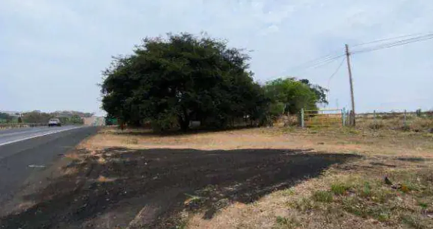 Área à venda, 142810 m² por r$ 12.000.000,00 - rodovia - cedral/sp