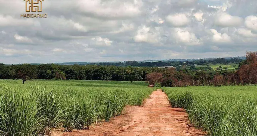 Área à venda, 313000 m² por r$ 16.900.000,00 - jardim aurora - bady bassitt/sp