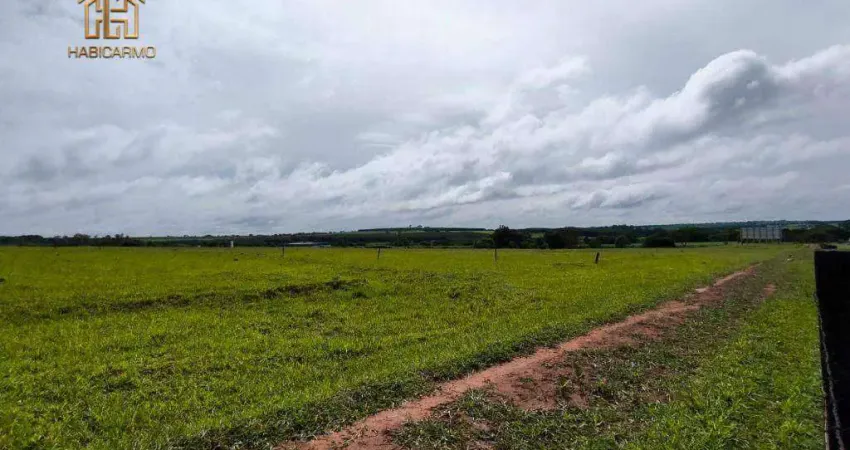 Área à venda, 40000 m² por r$ 6.000.000,00 - cedral - cedral/sp