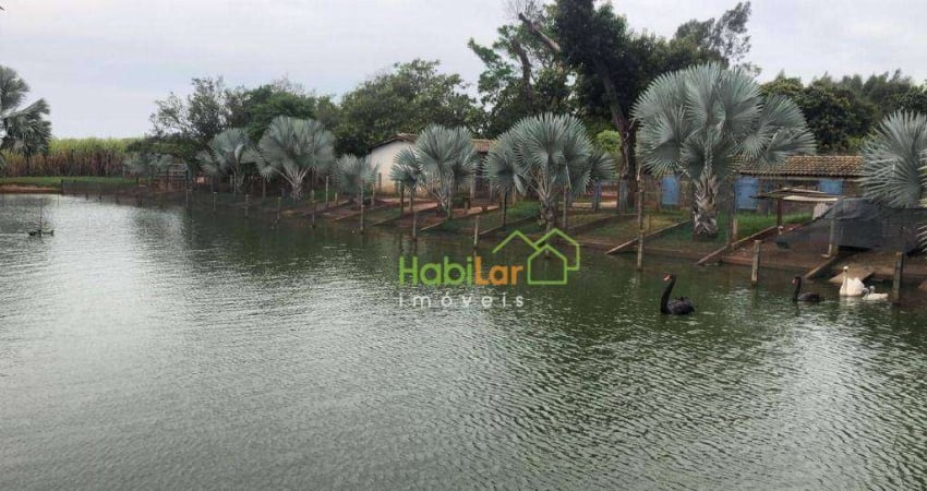 Sítio à venda, 84700 m² por R$ 3.500.000,00 - Zona Rural - Bady Bassitt/SP