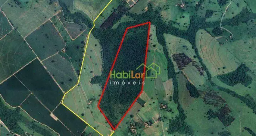 Sítio à venda, 338800 m² por R$ 1.400.000,00 - Zona Rural - Macaubal/SP