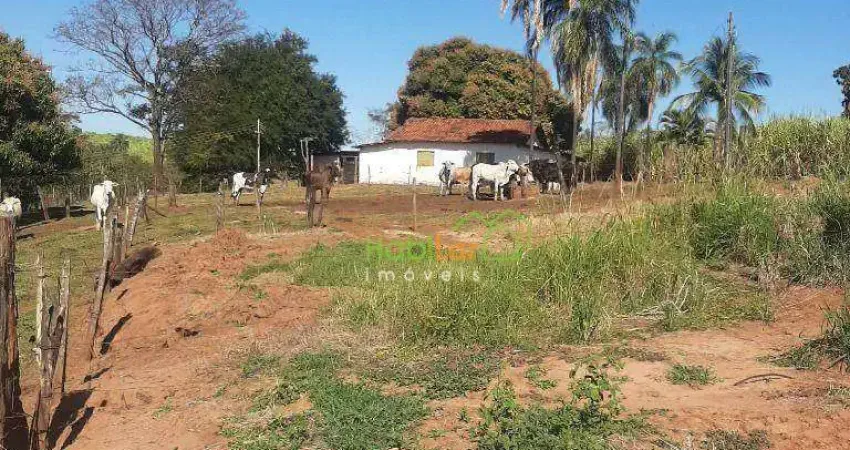 Sítio à venda, 726000 m² por R$ 7.500.000,00 - Zona Rural - Olímpia/SP