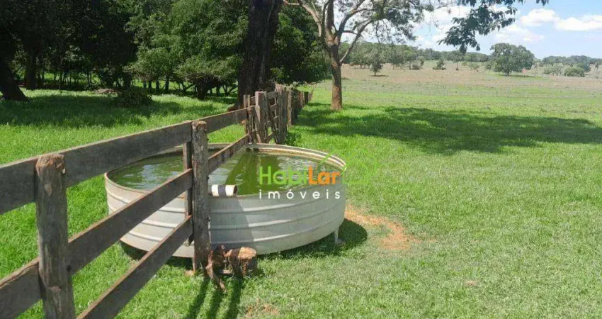 Sítio com 1 dormitório à venda, 423500 m² por R$ 2.975.000,00 - Santa Fe Do Sul - Santa Fé do Sul/SP