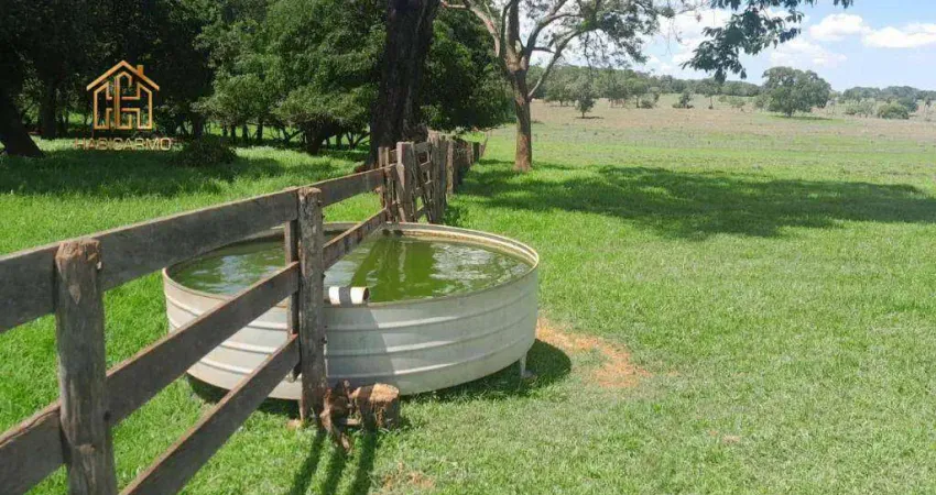 Sítio com 1 dormitório à venda, 423500 m² por r$ 3.000.000,00 - santa fe do sul - santa fé do sul/sp