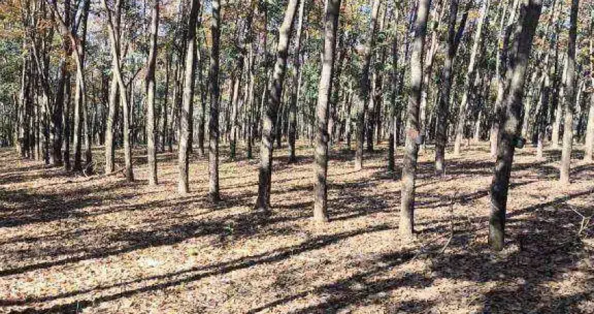 Fazenda com 4 dormitórios à venda, 1597200 m² por r$ 11.350.000,00 - área rural - auriflama/sp