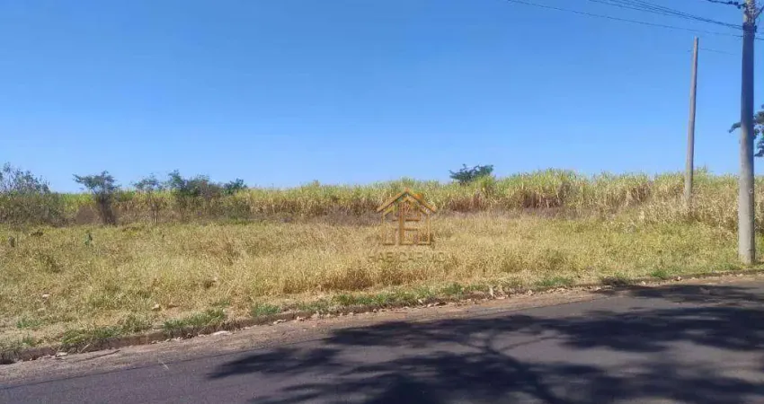 Terreno à venda, 683 m² por r$ 178.000,00 - centro - cedral/sp