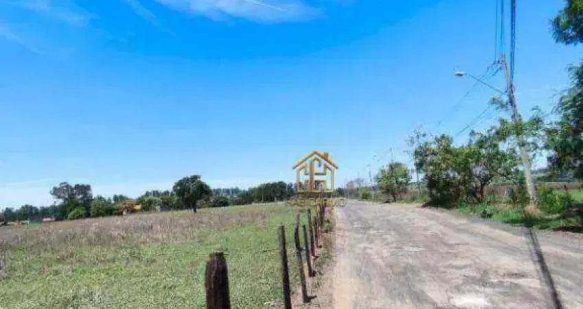 Área à venda, 121000 m² por r$ 36.300.000,00 - estância são judas tadeu (zona rural) - são josé do rio preto/sp