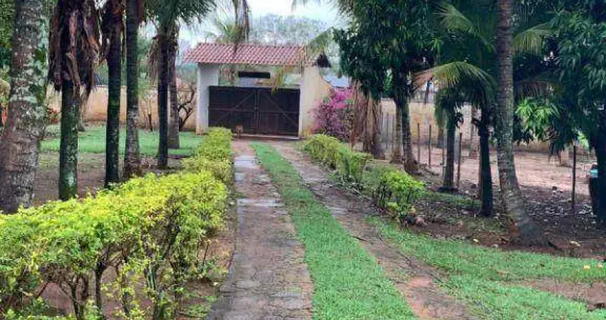 Chácara à venda, 7000 m² por R$ 780.000,00 - Engenheiro Schmidt - São José do Rio Preto/SP