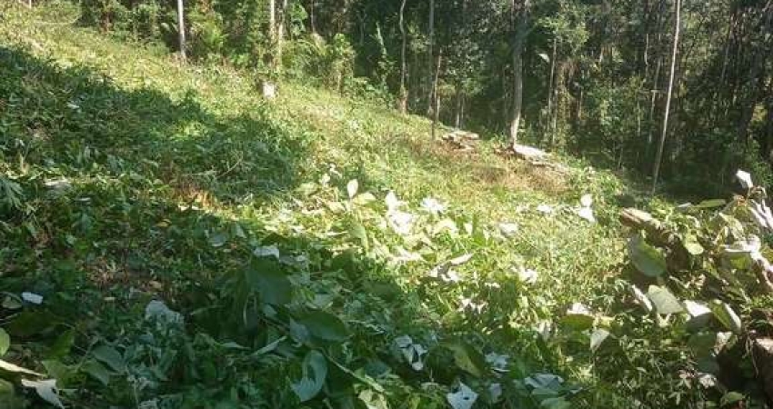 Terreno em condomínio fechado à venda na Alameda das Sempre Vivas, Pirucaia, Mairiporã