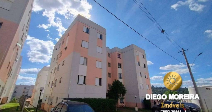 Apartamento à Venda com 2 dormitório - em Terra Preta!