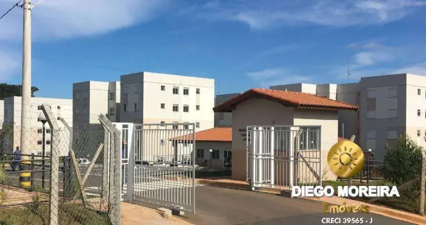 Apartamento com 2 quartos à venda na Rua Anjo Gabriel, Canjica (Terra Preta), Mairiporã